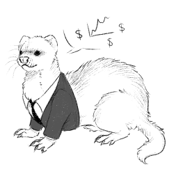 yikesmydude:  Groups of ferrets are called a business and that