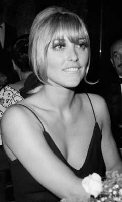 simply-sharon-tate:“I guess I kind of lived in a fairytale