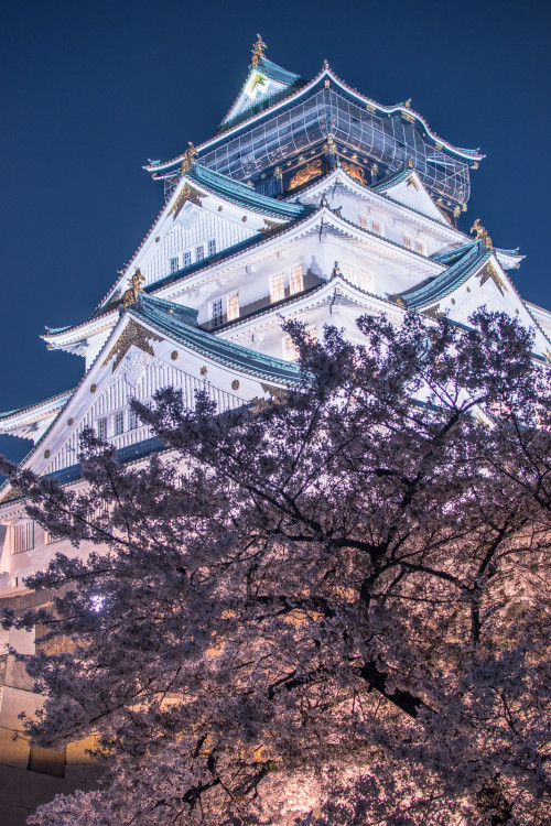 inefekt69: Osaka Castle, Japan