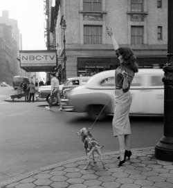 adreciclarte:  New York, 1956 