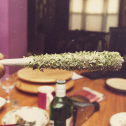 maxlhphotography:  Honeyzoot 