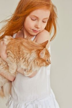 kittehkats:  Ginger2  Found on 500px.com  ———————-