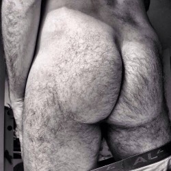 barebearx:  ~~~~PLEASE FOLLOW ME ** ~ ♂♂ OVER 25,000 FOLLOWERS~~~~~~