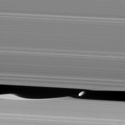 crookedindifference: Daphnis Up Close via NASA http://ift.tt/2jPxlwA