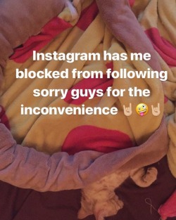 #cantfollowback #instagramjail #blockedfromfollowing  https://www.instagram.com/p/Bubj8hIFfHP/?utm_source=ig_tumblr_share&igshid=1s557y5zxc6av