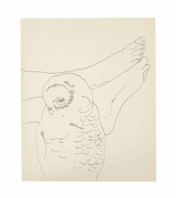 robert-hadley: Andy Warhol ( 1928-1987 ) - Owl and Feet Source: