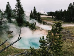 b-ls: Yellowstone National Park // Oregon  May 21, 2019  