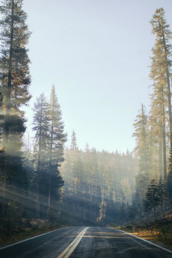 ilaurens:  Tioga Pass Morning - By: (Kyle D Adams) - (Follow