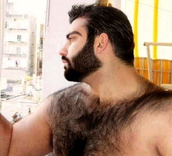 thehairiestmen:  The Hairiest Men - archive of the hairiest men