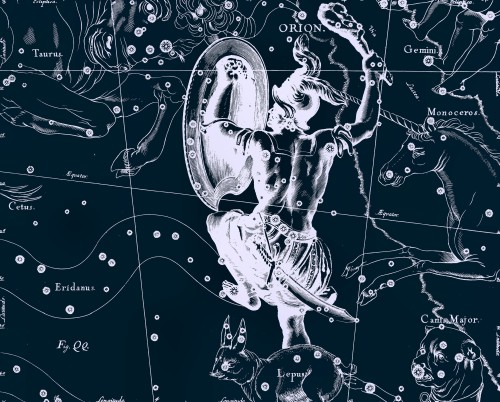 friendly-laser: Johannes Hevelius.Â “Uranographia: totum caelum stellatum."Â 1687. Andromeda, Aquaris, Aquila, Bootes, Cassiopeia, Draco, Pegasus, Orion 