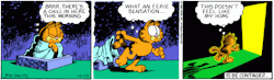 beekirby:  People can make all the surreal Garfield parodies