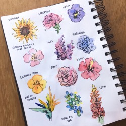 8-butt:Some flowers that you guys requested! It’s fun to experiment