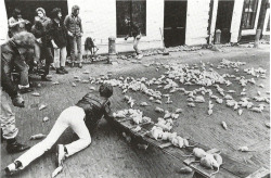 Werner Herzog releases thousands of rats into the streets of