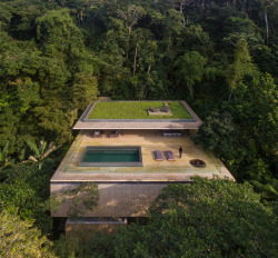 odaro:  house in a forest / studio MK27 