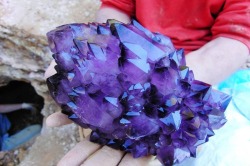 chinadoll210:  Amethyst uncovered in North Carolina.