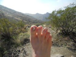 Hiking this morning in the McDowell Sonoran Preserve.Â  Any