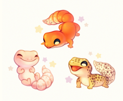 fluffysheeps: Some gecko pals 🦎