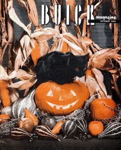 Jack-o-lantern Appreciation Blog