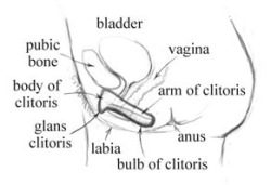 higgles-wet-girls:  I have discovered the scientifically proven