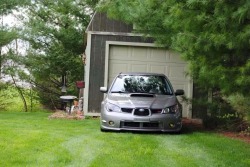 subarustars:  Nice parking spot and gorgeous hawk eye!!