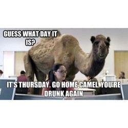 #humpday  #gohome #iwanttobedrunk