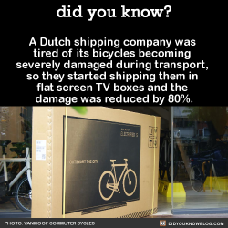 did-you-kno:  A Dutch shipping company was  tired of its bicycles