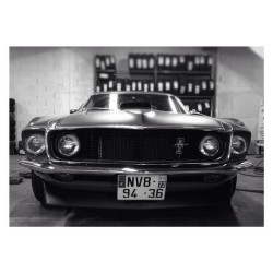 250ml:  Ford Mustang 69 Sportsroof #commeungosse #bestdayofmylife