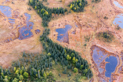 beyondcrowds:  Strange Terrains IV Near Trapper Creek, Alaska