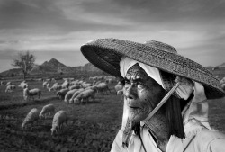 ‘Waiting for the sheep to come home’ Photo and caption