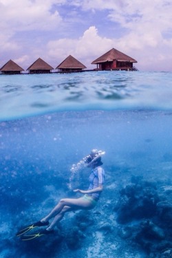 robert-dcosta:  Under Water in Maldives by Hannes Cmarits ||