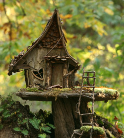 erilentiya:   	Fairy House by Lana Gramlich    	 