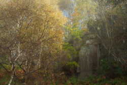 90377:  Bolhill Quarry by Paul Newcombe on Flickr.