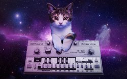 CATS ON SYNTHESIZERS IN SPACE