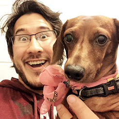 lordiplier:  markiplier   dogs