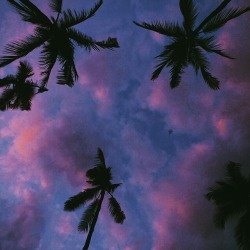 if-it-makes-you-happyyy:  ✹ check for more ✹