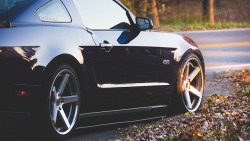 ford-mustang-generation:    by turkadurka on Flickr.