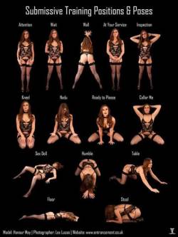 beautifullybrokensubmissive:  S-type Positions… Which one is