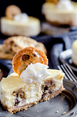 fullcravings:  Mini Cookie Dough Cheesecake 
