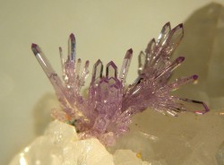 underthescopeminerals:  Strengite, Quartz Locality:La Paloma