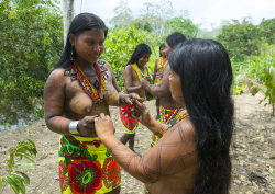 Panama, Darien Province, Bajo Chiquito, Women Of The Native Indian