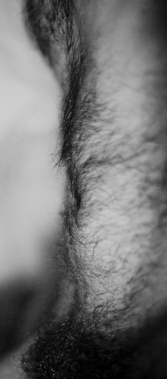 daddybearchub.tumblr.com/post/112422658817/