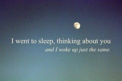 fakeasmileliveanotherday:  • ☾•