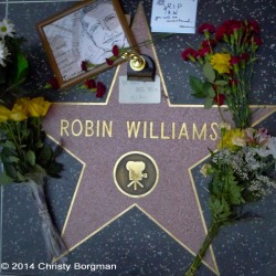lawomanphoto:  August 11, 2014 RIP Robin Williams.  Star on