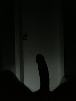 Cock in the dark.