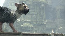 gamefreaksnz:   					The Last Guardian confirmed for PS4, new