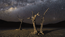 edwardspoonhands:  kadrey:  Awesome: The night sky in motion.