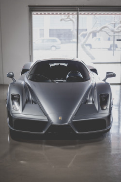 thephotoglife:  Ferrari Enzo. 
