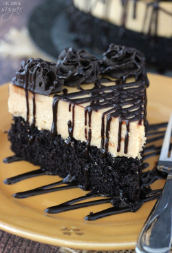 do-not-touch-my-food:  Chocolate Peanut Butter Truffle Cake 