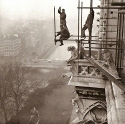 Echafaudage sur Notre-Dame, Paris, 1952.