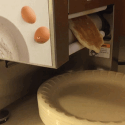 rexxarm: pancake machine u press a button and get a pancake.